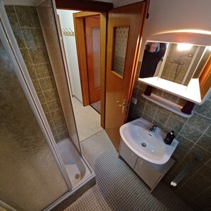 Une salle de bain avec une douche, un lavabo et un miroir.