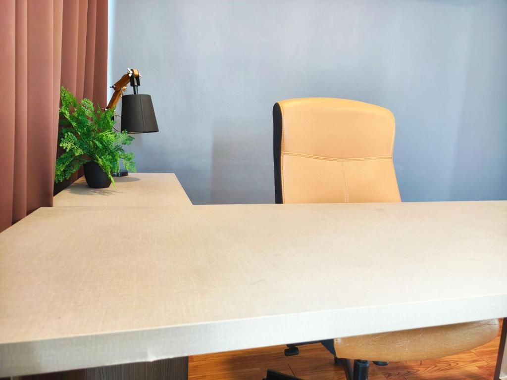 A conference table with a chair, a potted plant, and a desk lamp.