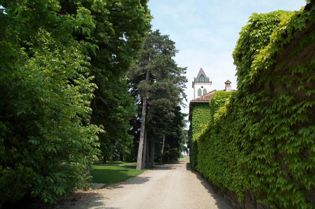 A pathway flanked by lush green hedges leading to a building with a pointed roof and arched windows.