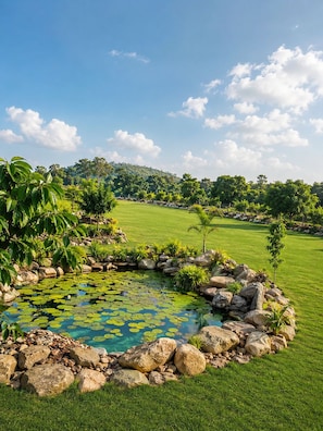A landscaped garden with a pond, rocks, and grass. - Corbett KāSā (Ramnagar)