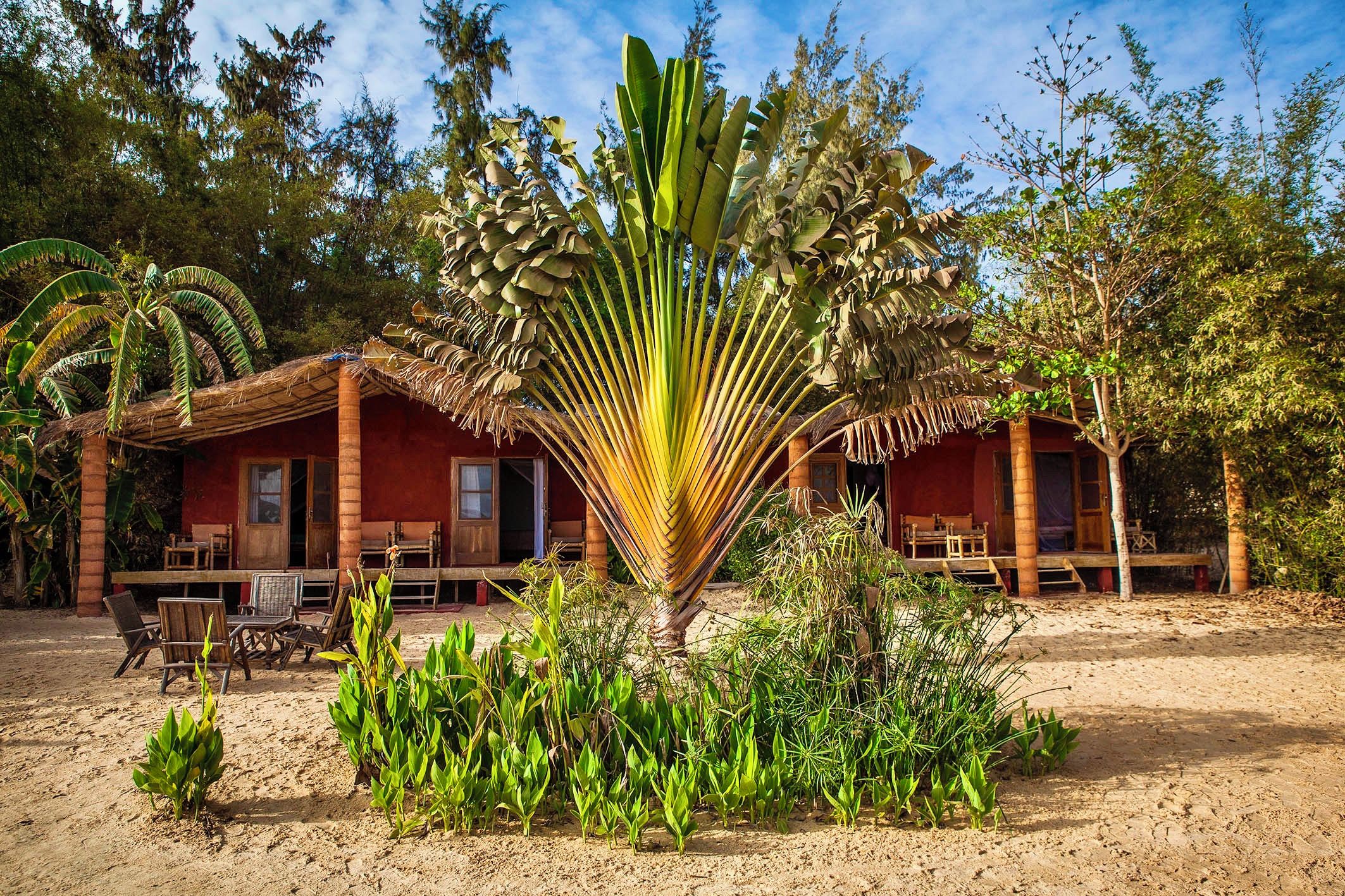 A bungalow-style accommodation with a thatched roof, surrounded by tropical vegetation.