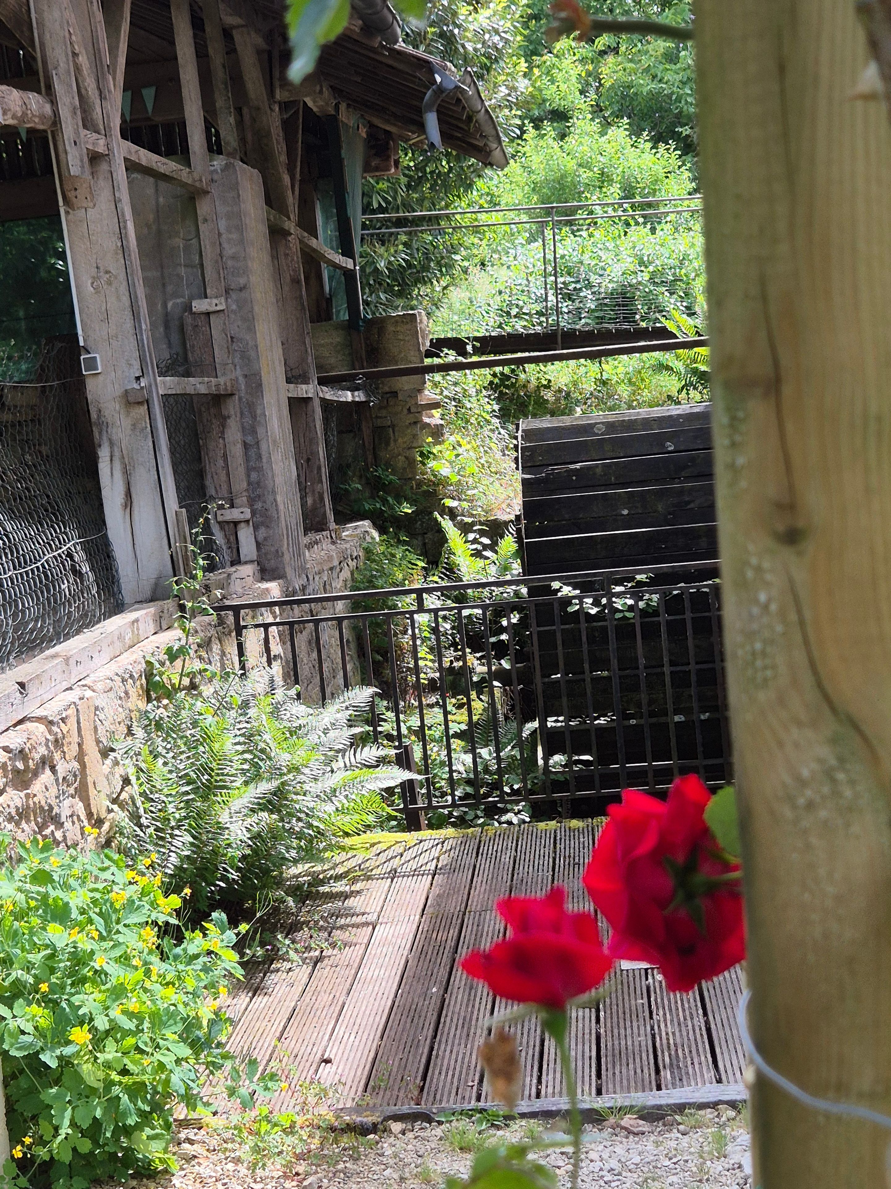 A rustic wooden structure with a metal gate, surrounded by lush greenery and a wooden deck.