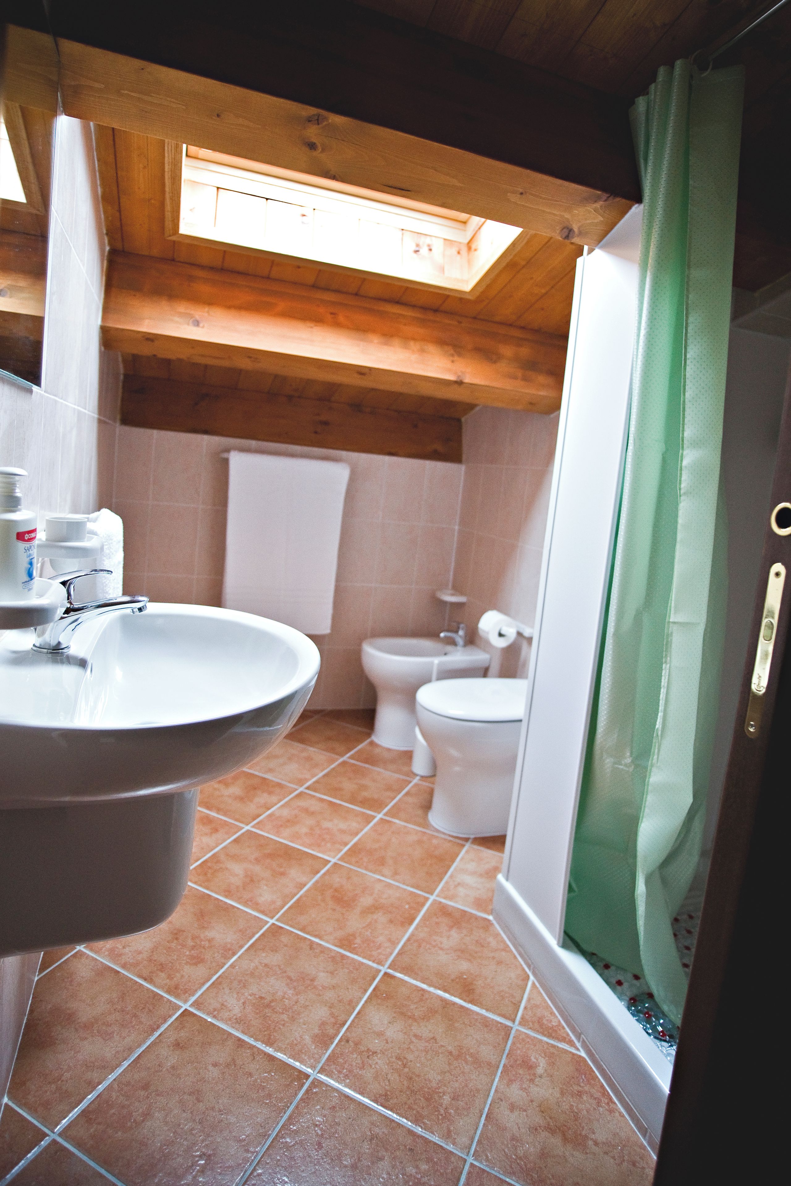 Un baño con lavabo, inodoro y zona de ducha.