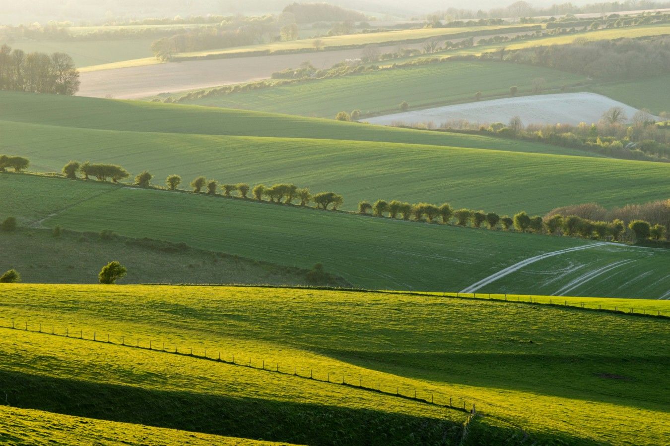 Rolling green fields with a fence line and a water body in the distance.