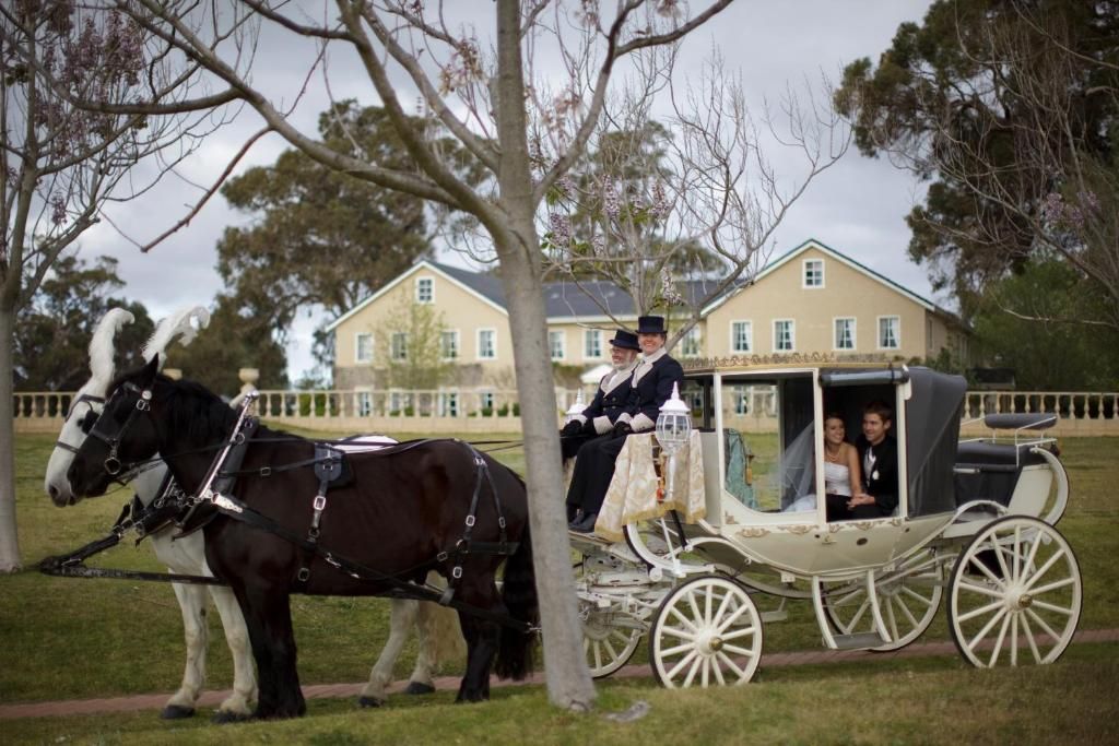 A horse-drawn carriage with passengers, a horse, and a building in the background.