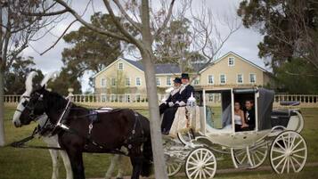 A horse-drawn carriage with passengers, a horse, and a building in the background.