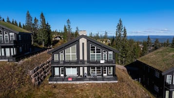 Eksteriør