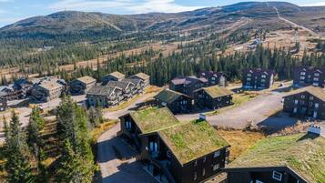 A residential area with multiple houses, some with green roofs, surrounded by forested hills.