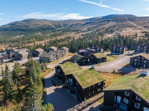 Un quartier résidentiel composé de plusieurs maisons, dont certaines sont dotées de toits végétalisés, et entouré de collines boisées.