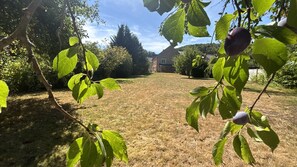En gräsklädd trädgård med träd och ett hus i bakgrunden.