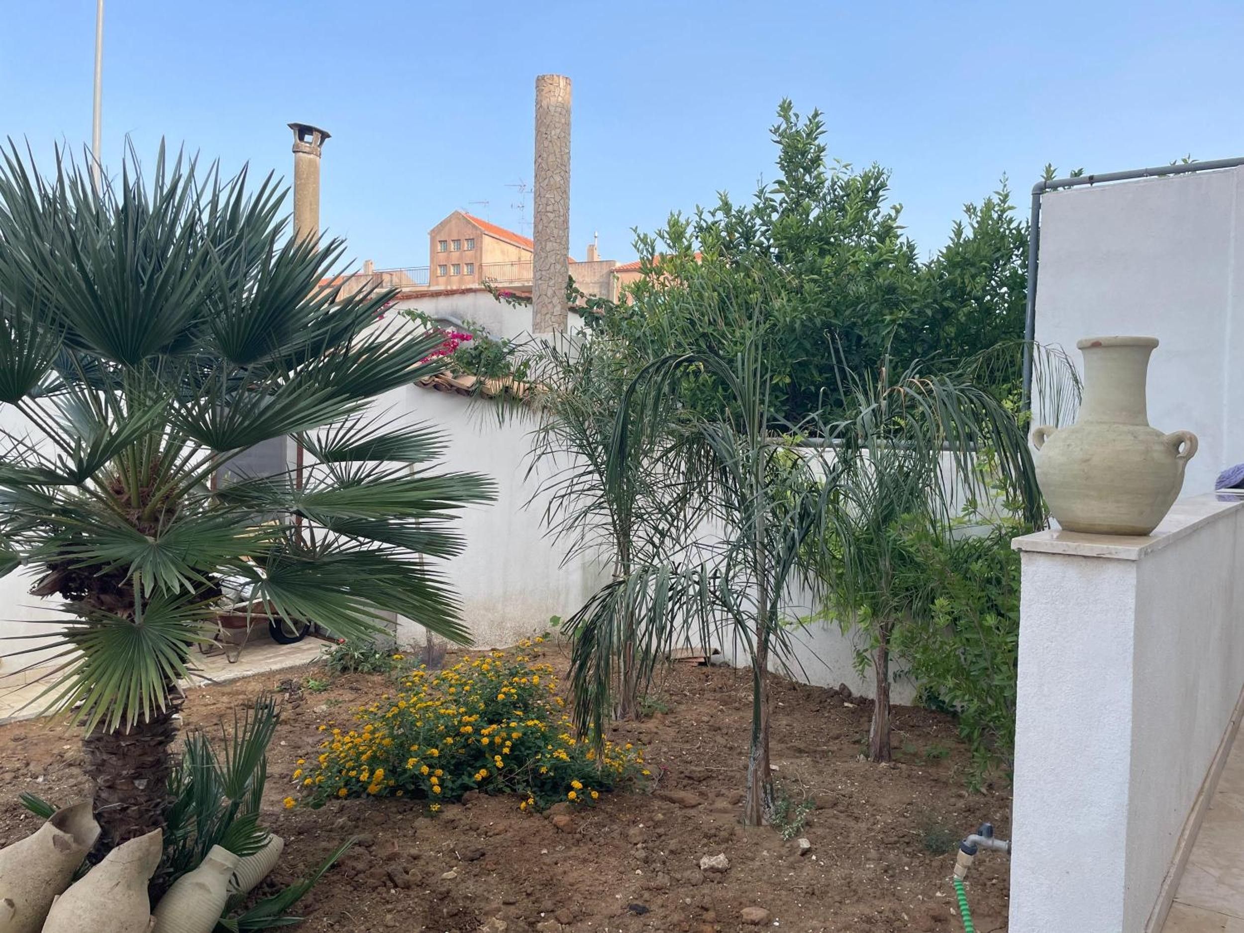 Un jardín con una palmera, diversos arbustos y un jarrón grande sobre un pedestal.