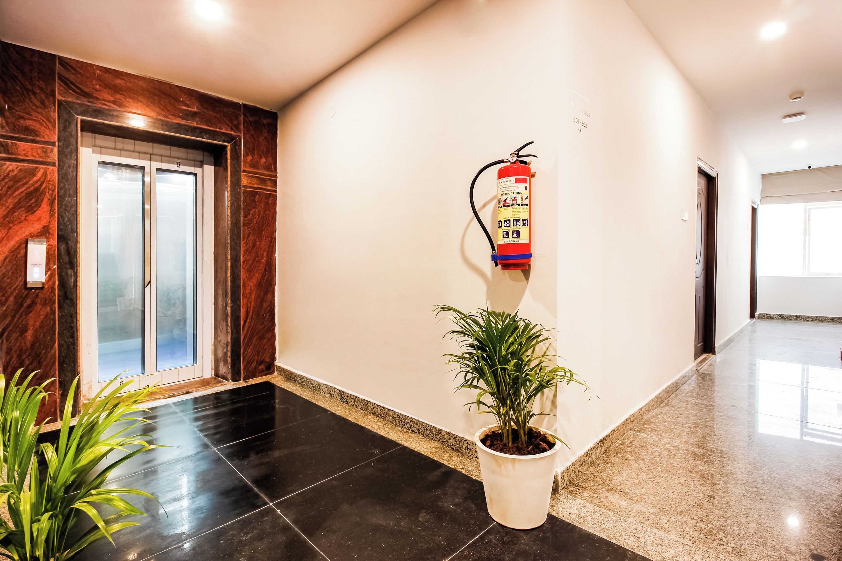 A hallway with a fire extinguisher mounted on the wall, a potted plant, and a door with a glass panel.