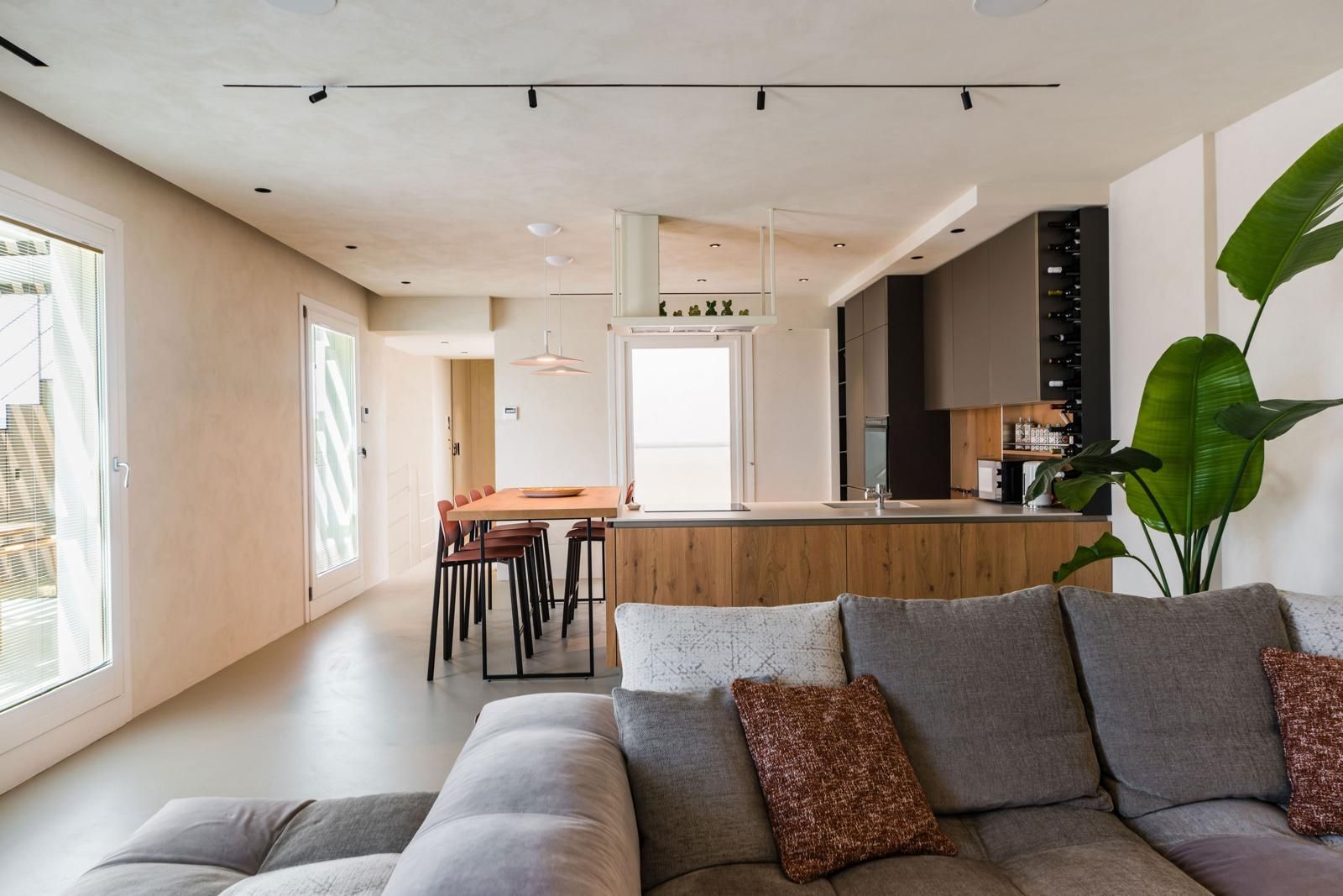 Una sala de estar moderna con un sofá gris, una mesa de centro y una planta grande.