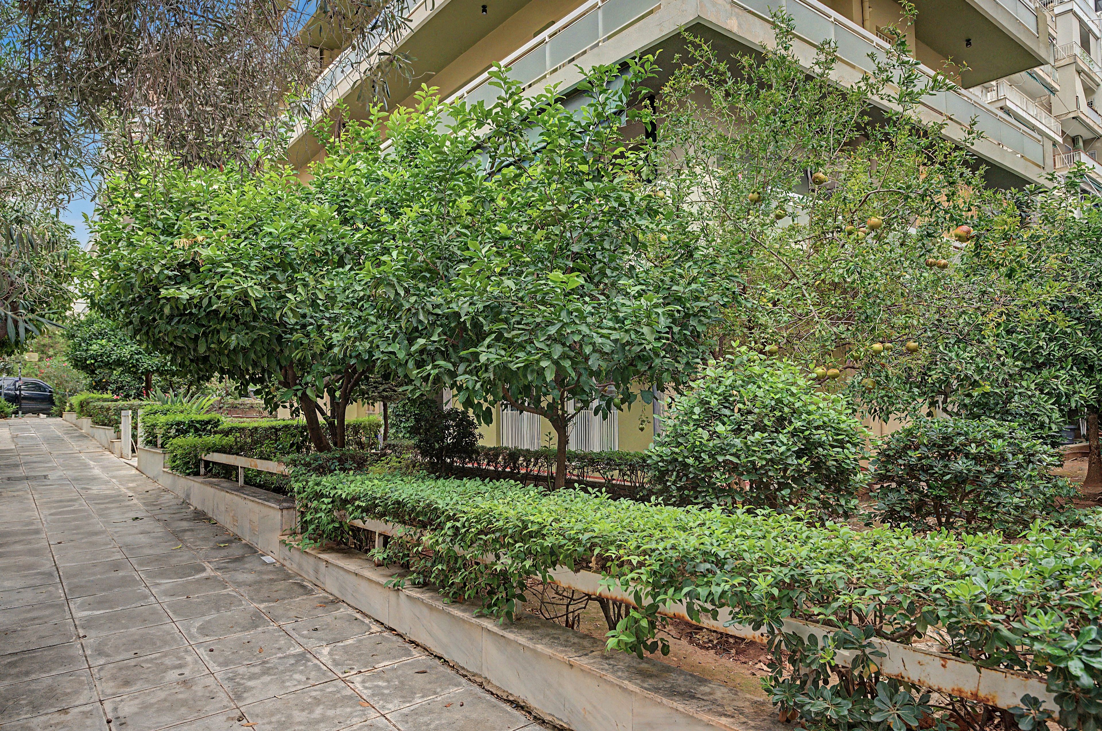 A building with a garden area featuring various shrubs and trees.