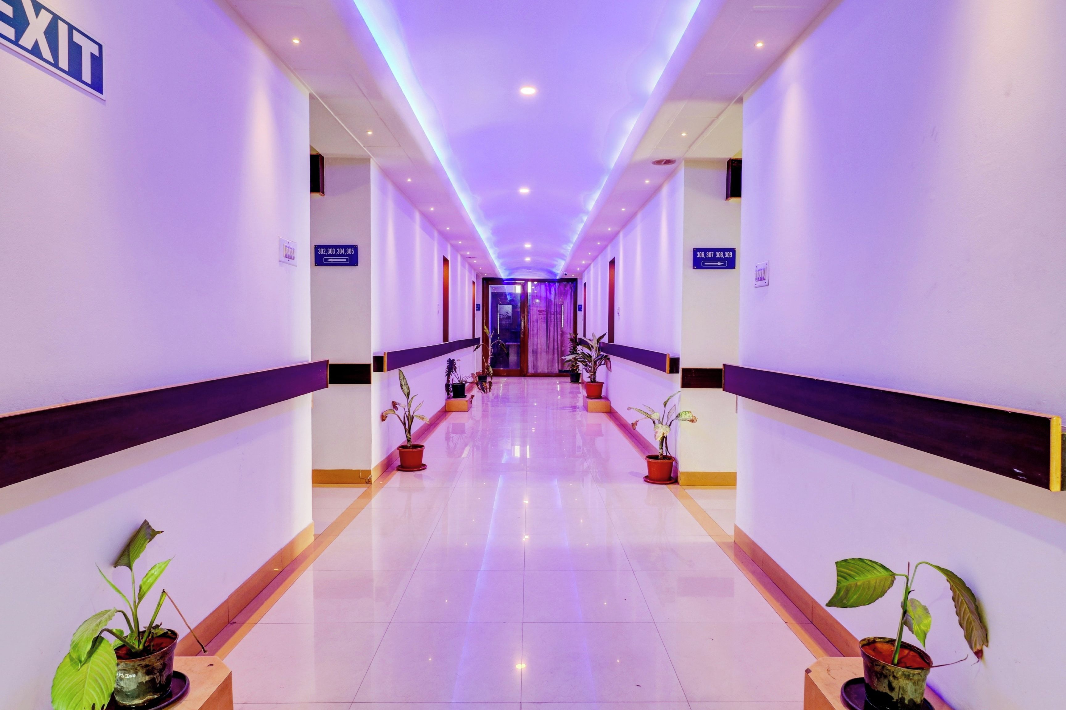 A hotel corridor with directional signs, potted plants, and an exit sign.