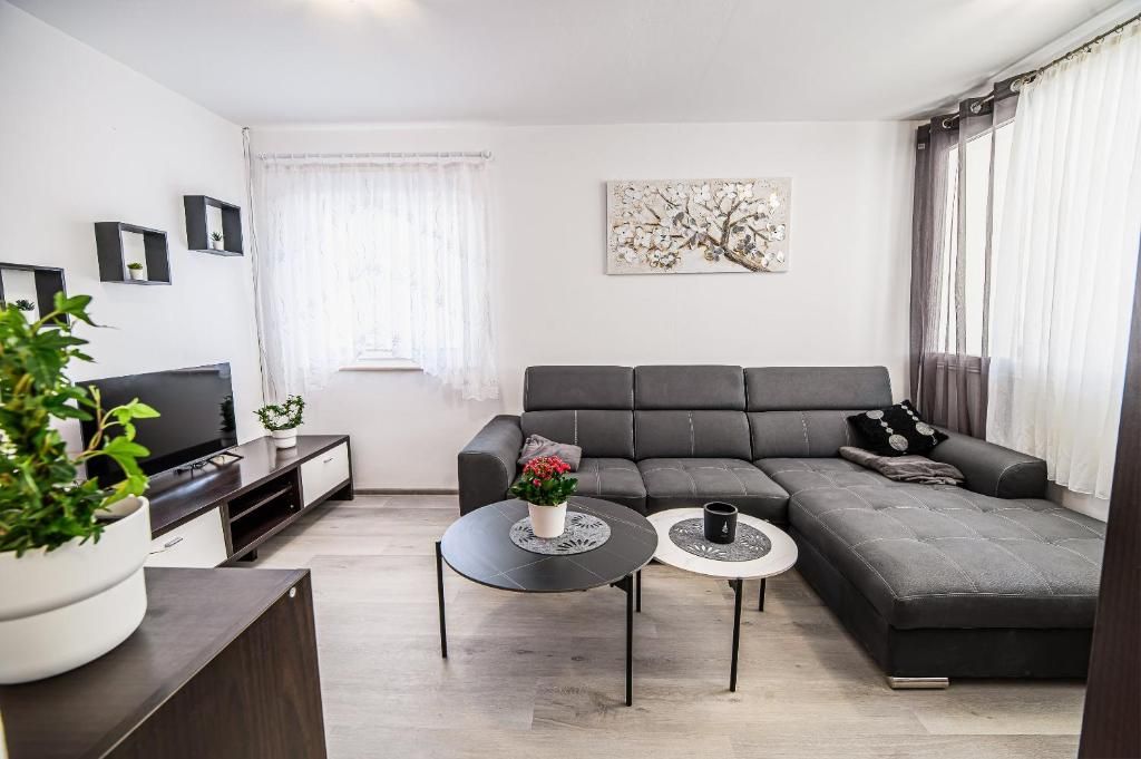 A modern living room with a sectional sofa, a flat-screen TV, a coffee table, and a potted plant.