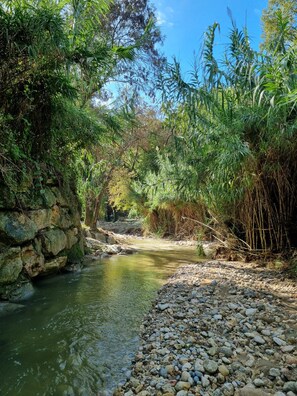 A natural landscape with a clear stream, rocky riverbank, and dense vegetation. - Spacious, fully equipped studio in a quiet location (Saint-Paul-de-Vence)