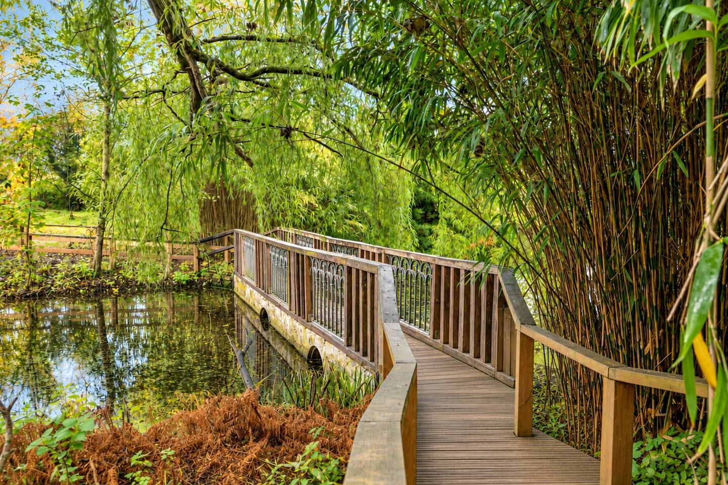 A wooden boardwalk over a calm body of water, surrounded by lush greenery and bamboo.