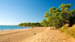 A sandy beach with clear blue water, trees, and people. - Darwin City 1-bed Apartment Near Dining (Darwin)