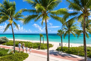A beachside walkway lined with palm trees leading to a sandy beach with clear turquoise water. - Panoramic Ocean View Studio | Direct Beach Access (Miami Beach)