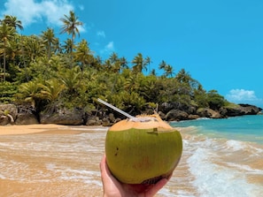 Eine Hand hält eine grüne Kokosnuss mit einem Strohhalm, im Hintergrund Palmen und ein Strand.