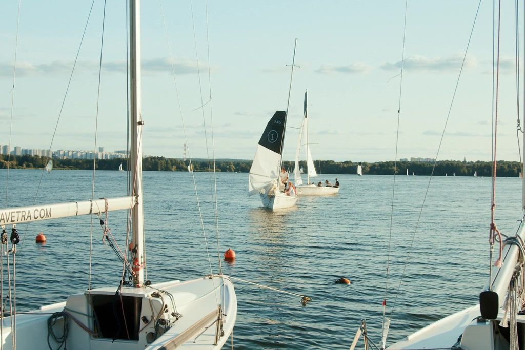 Eine Marina mit vertäuten Segelbooten, ruhigem Wasser und einer entfernten Stadtansicht.