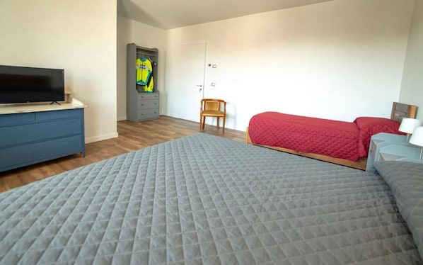 A bedroom with a bed, a TV, a wardrobe, and a door.