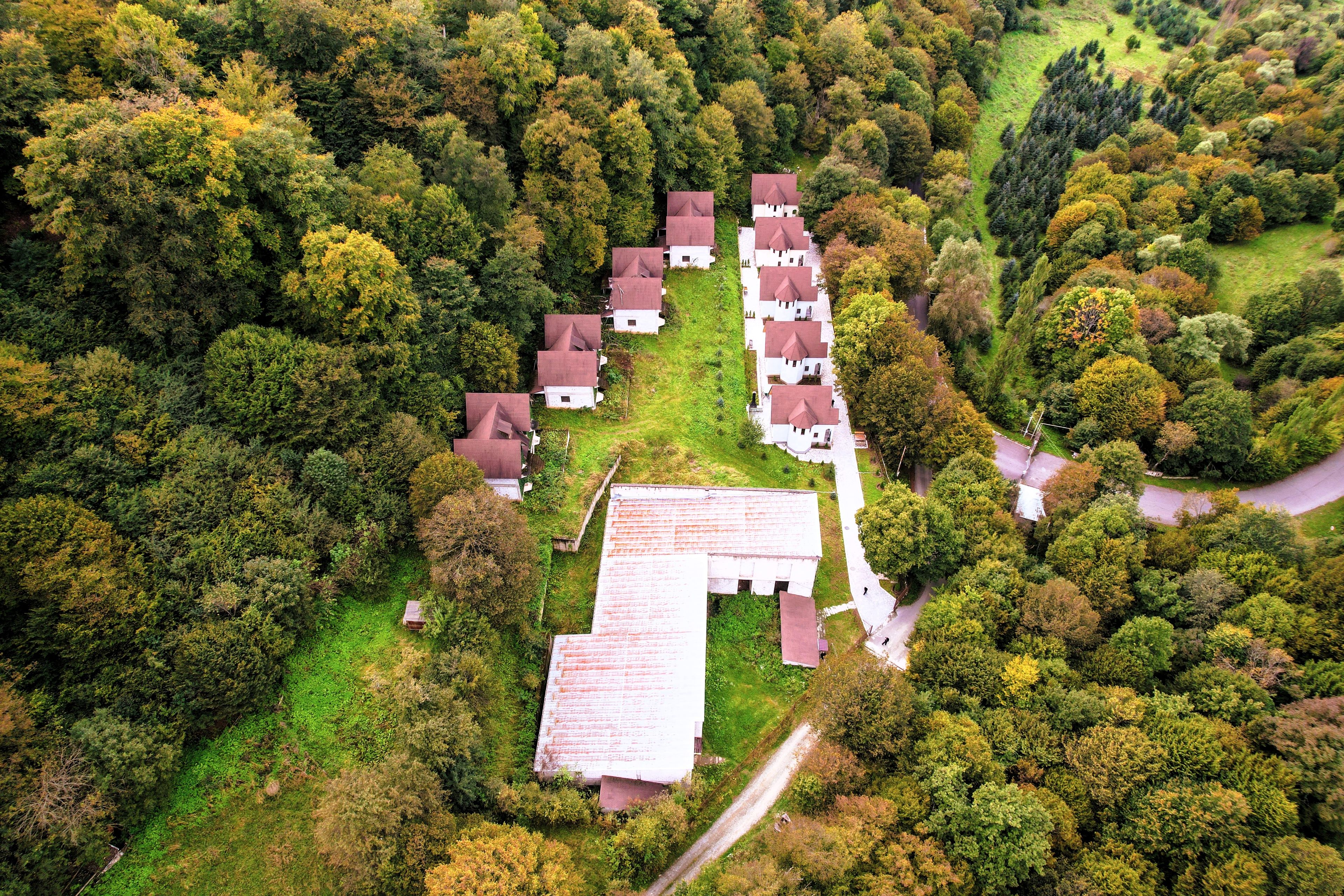 A cluster of houses with a central building, surrounded by dense forest.