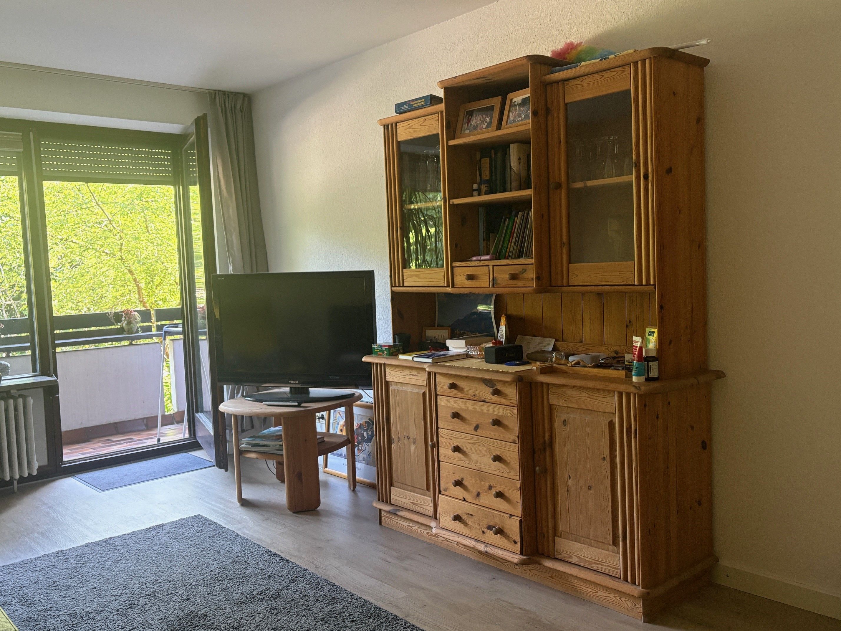 Ein Wohnzimmer mit Fernseher, Holzschrank und Blick auf Grünflächen.