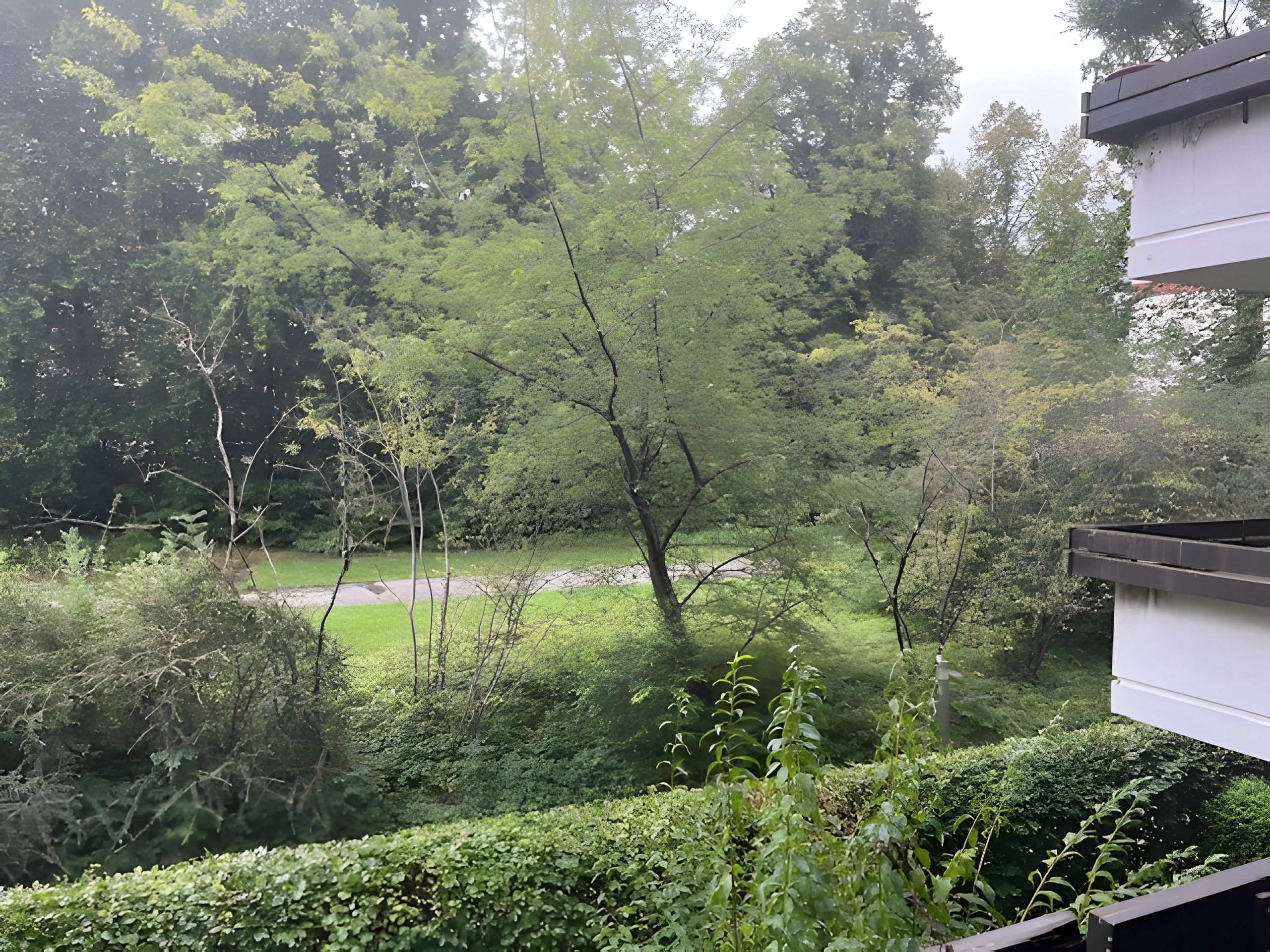 Üppige grüne Landschaft mit einem Weg, der durch einen Garten führt.