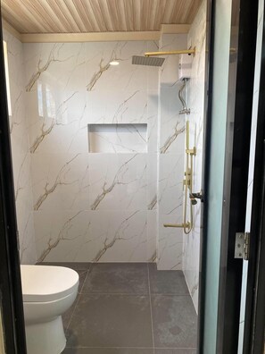 Een moderne badkamer met toilet, douche met handdouche en een wastafel met spiegel.