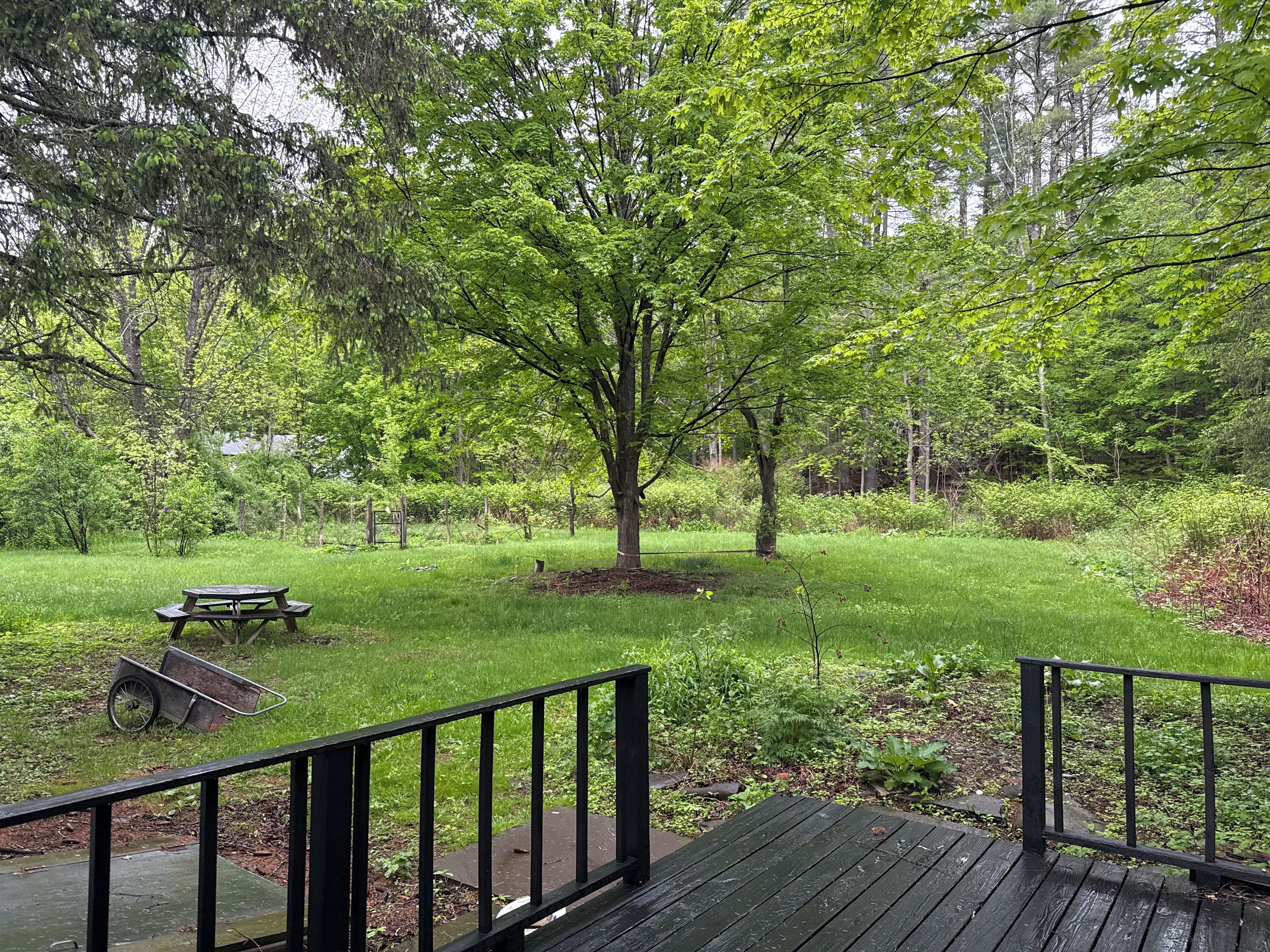 A wooden deck with a metal railing, a picnic table, and a wheelbarrow in a grassy area with trees.