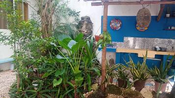 A garden area with various potted plants and a blue wall with decorative tiles.