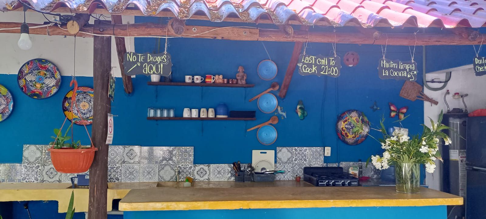 Un espace cuisine avec un mur bleu, un comptoir en bois et divers ustensiles et objets de décoration.
