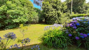 Un jardin où l’on trouve une grande variété de plantes et de fleurs, notamment des variétés aux couleurs bleues et violettes, ainsi qu’une zone herbeuse.