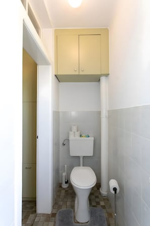 A small bathroom with a toilet, a cabinet above it, and a shower area. - Apartment 'Familienglück in Der Weststeiermark' with Wi-Fi (Sankt Oswald ob Eibiswald)