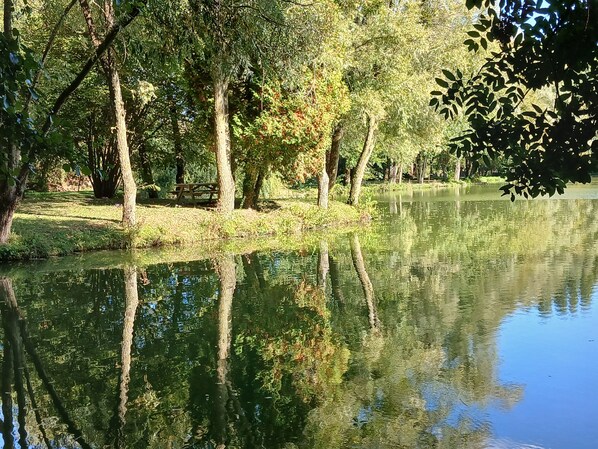 Un parc paisible avec un étang, des arbres et un banc en bois.