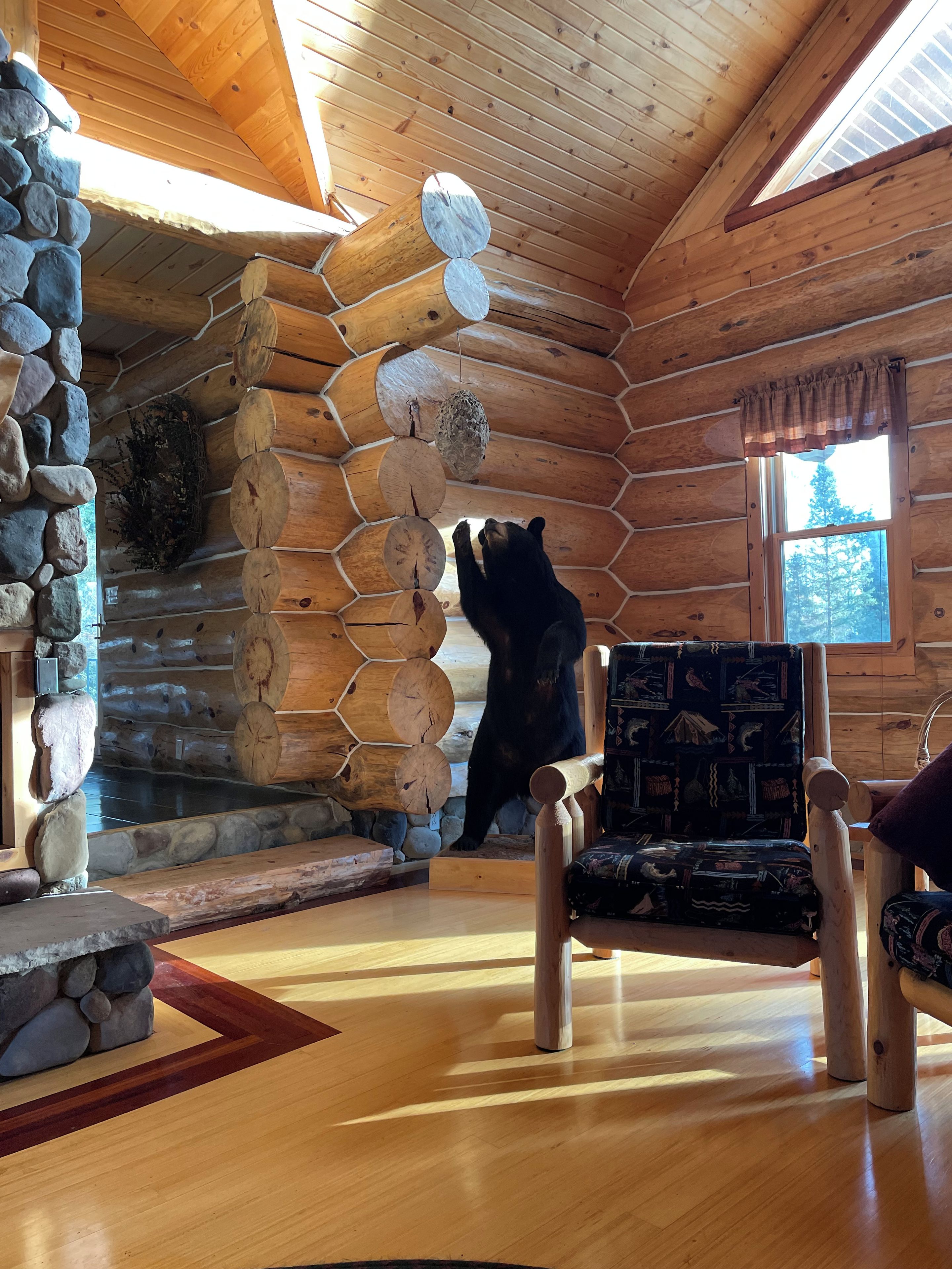 A log cabin interior with a bear climbing a wooden wall, a stone fireplace, and a window with a view of trees.
