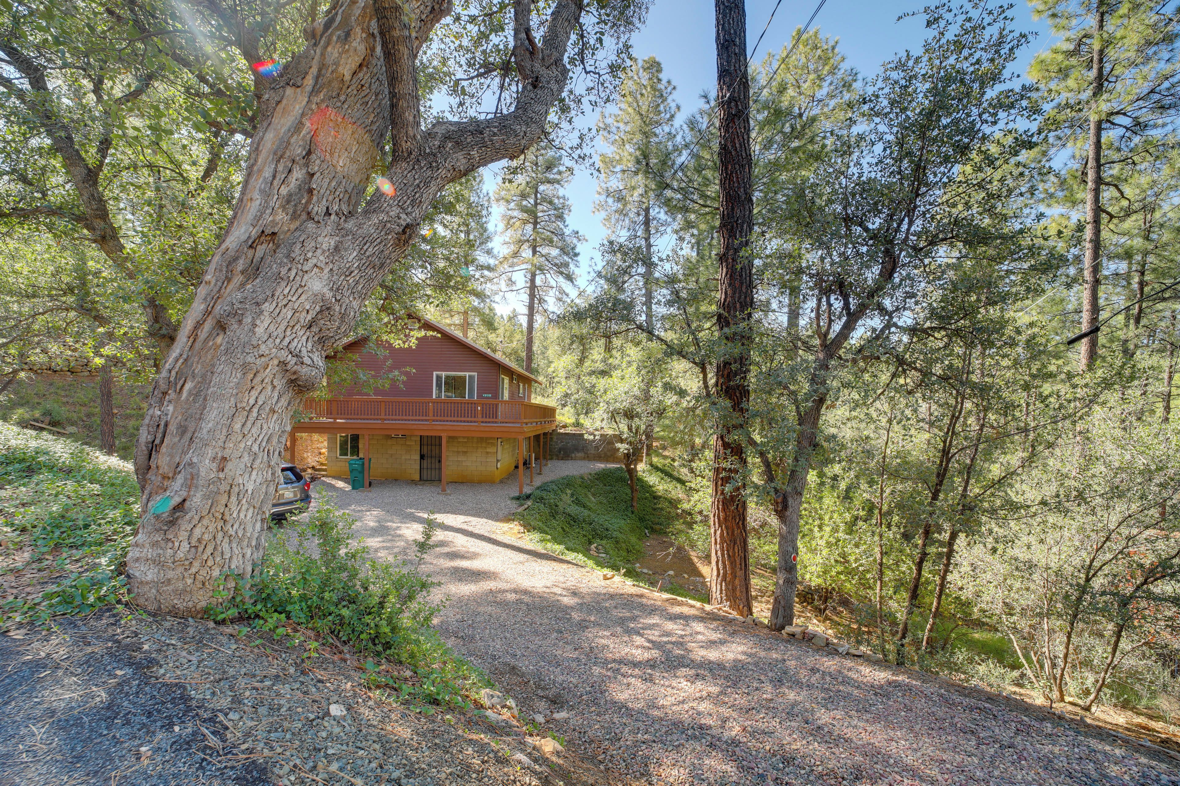 A cabin with a gravel driveway, surrounded by trees.