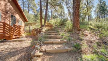 A wooden cabin with a stone staircase leading up to it, surrounded by trees and natural vegetation.