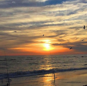 A sunset over the ocean with birds flying. - HIGH TIDE - SUN, SAND & SOUTHERN CHARM
CANAL FRONT- BOAT DOCK- POOL (Mexico Beach)