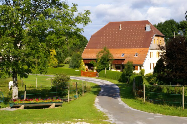 A house with a sloped roof, surrounded by greenery and a paved driveway.