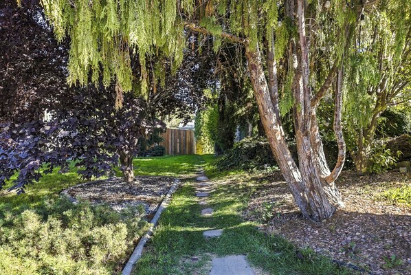 A garden pathway with trees and shrubs, a wooden fence, and a stone wall in the background.