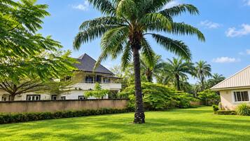 A residential area with a well-maintained lawn, a prominent palm tree, and a house with a sloped roof.