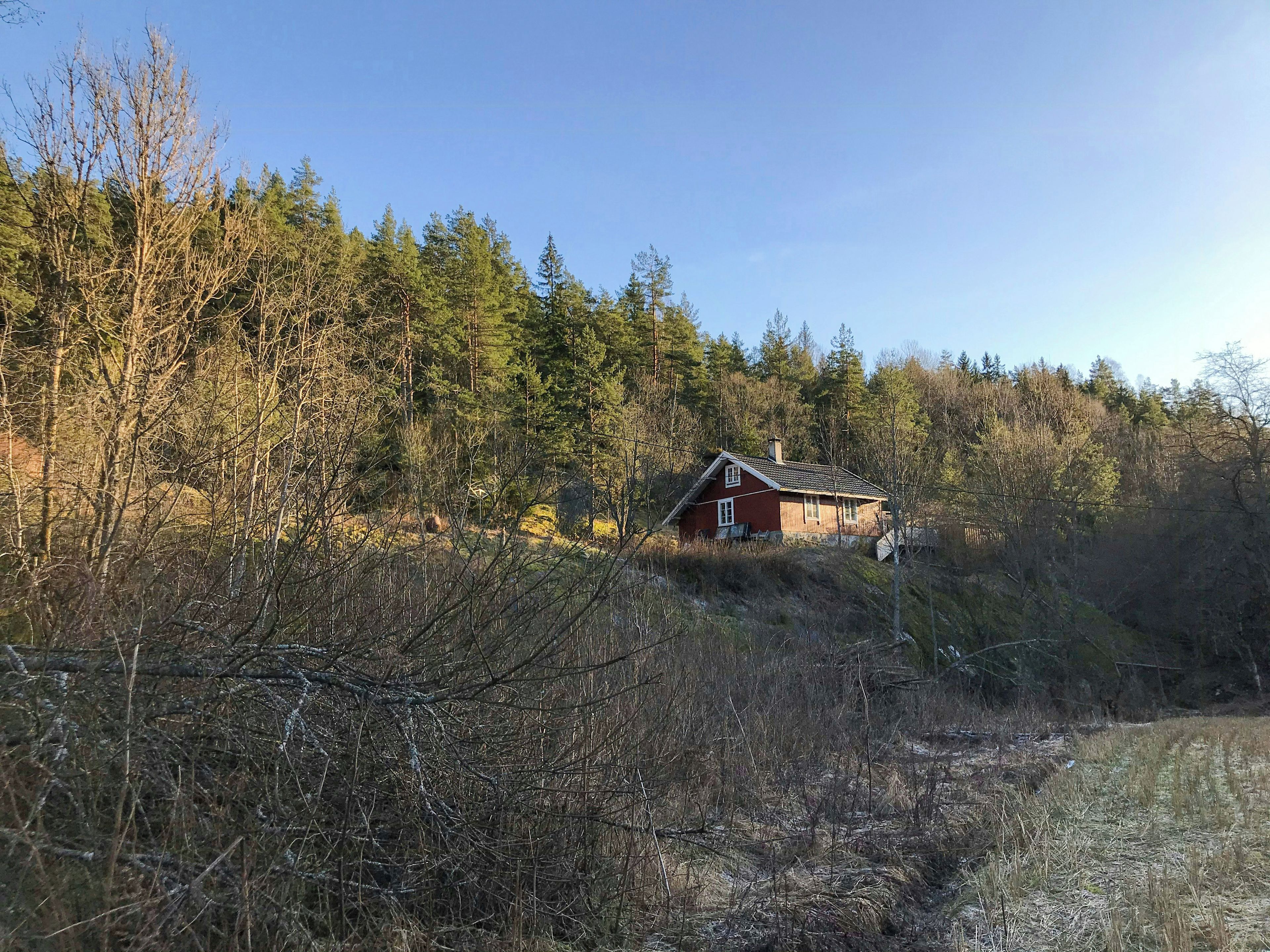 Une cabane située dans une zone boisée, sous un ciel dégagé.