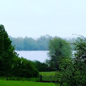 A serene lake surrounded by lush greenery and trees.