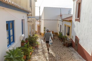 Una estrecha calle adoquinada bordeada por edificios con plantas en macetas.