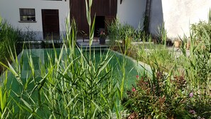 Ein Pool, umgeben von hohem Gras und einem Gebäude mit einer Holztür und Fenstern.