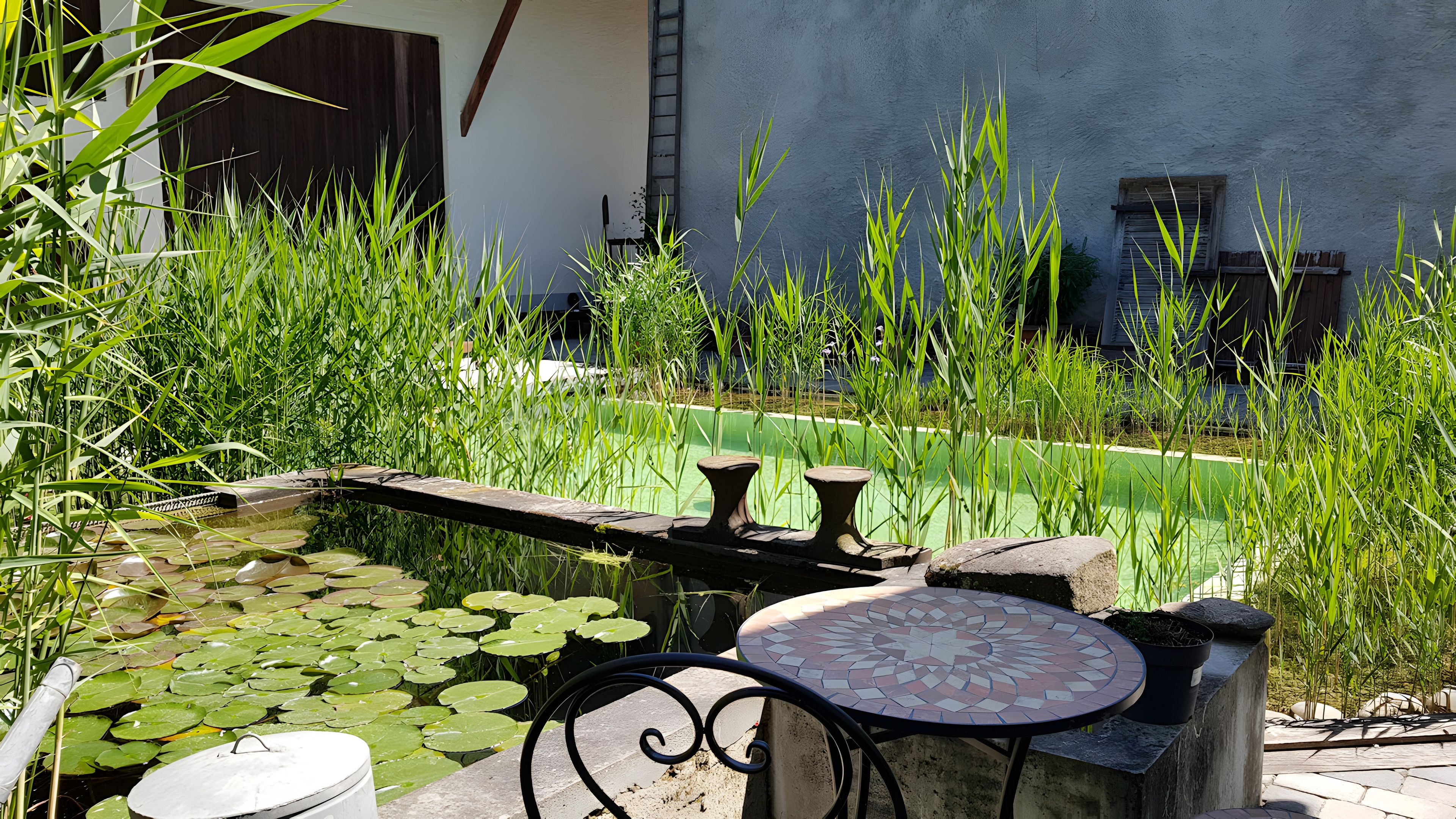 Un jardín con un estanque, una mesa con azulejos y hierbas altas.