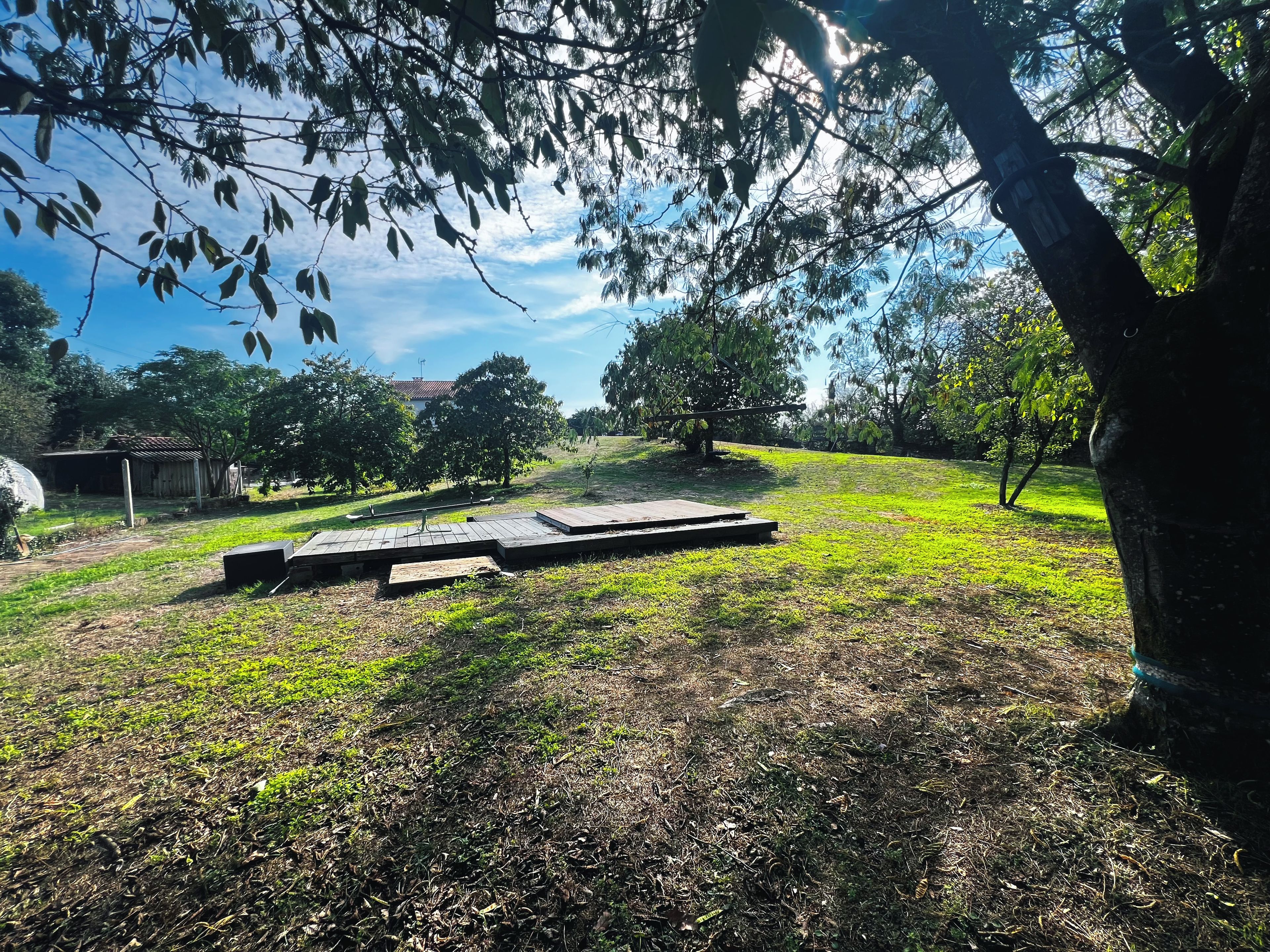 Un espacio al aire libre con una plataforma de madera, césped y árboles.